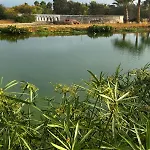 Two-bedroom With Natural Pool Near Fuseta 別荘 モンカラパッショ