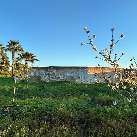Two-bedroom With Natural Pool Near Fuseta