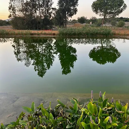 2-bedroom On Farm With Yoga Near Fuseta *