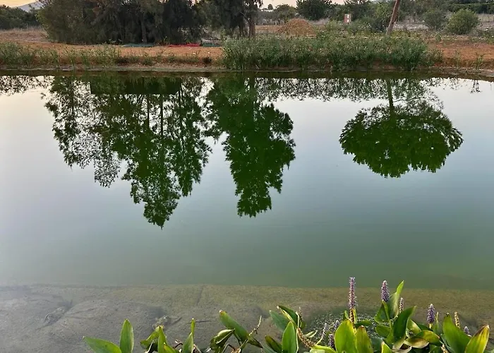 2-bedroom On Farm With Yoga Near Fuseta *
